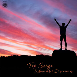 Silhouette of a person celebrating against a vibrant sunset sky, symbolizing the uplifting spirit of instrumental music.