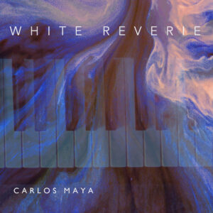 Abstract cover art featuring a piano with swirling blue and white textures, evoking a dreamlike winter atmosphere.